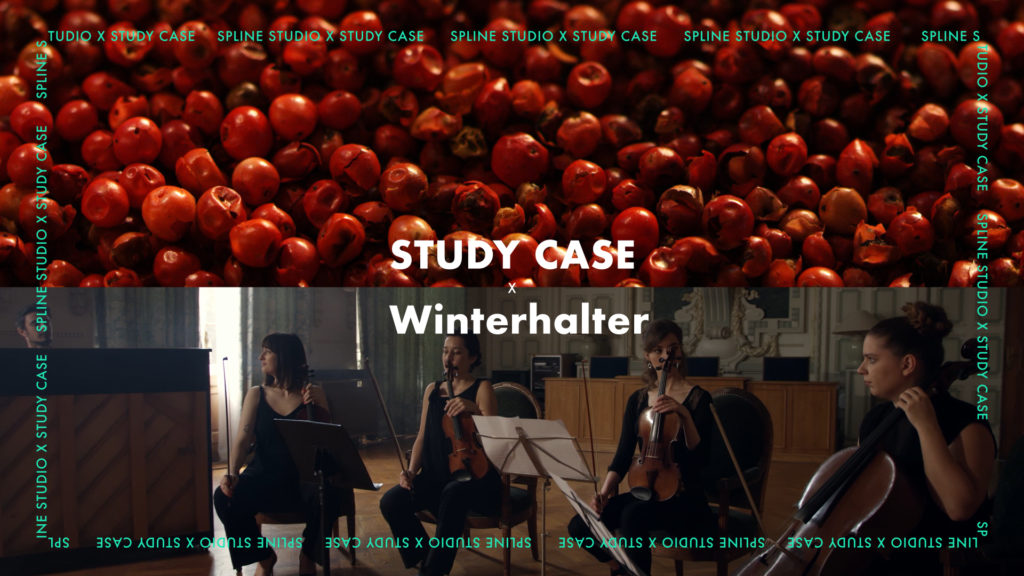 Study Case spline studio winterhalter